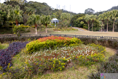 ThePeak2025_09