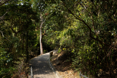 ThePeak2025_20
