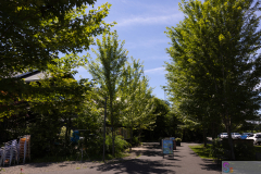 TokachiHills2025_04