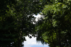 TokachiHills2025_83