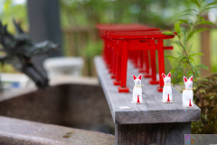 UrahoroShrine2025_17