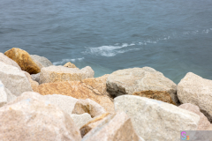 WestKowloon2026_13