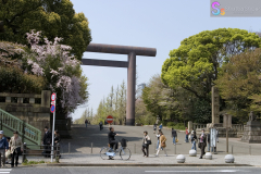 yasukuni_2007_02