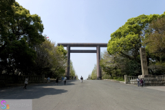 yasukuni_2007_03