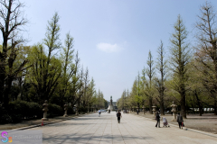 yasukuni_2007_05