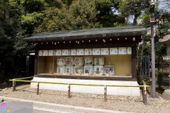 yasukuni_2007_18