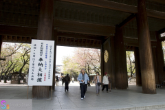 yasukuni_2007_19