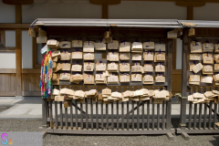 yasukuni_2007_32