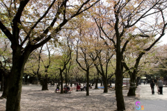 yasukuni_2007_36
