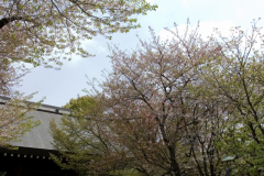 yasukuni_2007_54
