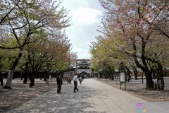yasukuni_2007_56