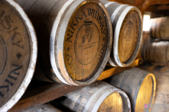 Yoichi2024_54